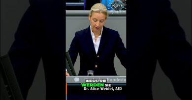 💙 ALICE WEIDEL : Industrie allemande en péril à cause d'erreurs !