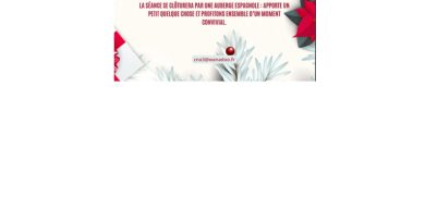 AQUAGYM de Noël le Mercredi 17 Décembre 2025