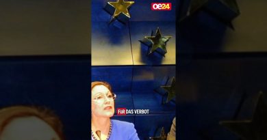 Accusation d'espionnage contre l'ex-diplomate Johannes Peterlik