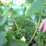 Actualités : Les travaux d'été en cours