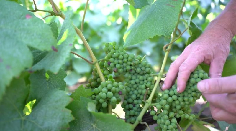 Actualités : Les travaux d'été en cours