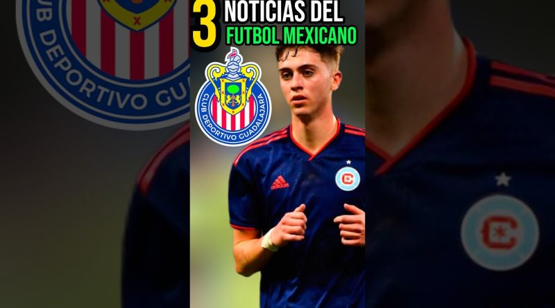 Actualités du Football Mexicain : Équipe, Chivas et América