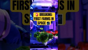 đš ActualitĂ©s spatiales : Agriculture en orbite - Salades et steaks đ°ïžđ±