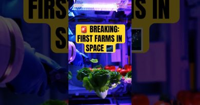🚨 Actualités spatiales : Agriculture en orbite - Salades et steaks 🛰️🌱