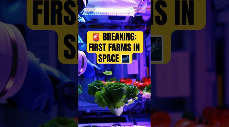 🚨 Actualités spatiales : Agriculture en orbite - Salades et steaks 🛰️🌱