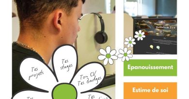 Merdrignac : découvrez l'affiche officielle sur le Blog du Prof T.I.M.