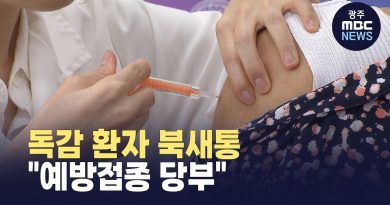 Afflux de cas de grippe : appel à la vaccination