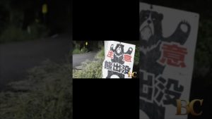 Alerte du Département d'État : 13 morts par des ours au Japon