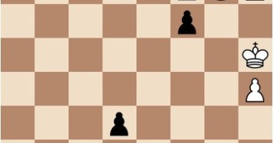 Analyse du problème d'échecs du dimanche : Kubbel #87 - Esprit Échecs