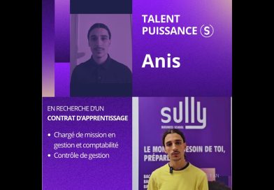 Anis : Diplômé en Contrôle de Gestion