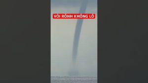 Apparition d'un dragon de mer : un phénomène fascinant