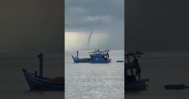 Apparition d'un énorme dragon de mer à Phú Quốc en 20 min