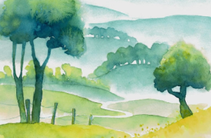 Appel à mobilisation pour les haies