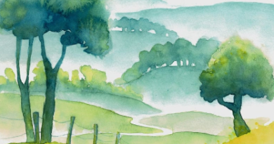 Appel à mobilisation pour les haies