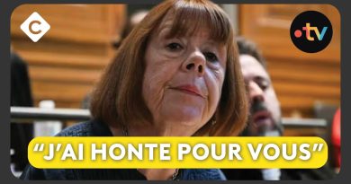 Appel des viols de Mazan : Gisèle Pelicot contre l'accusé