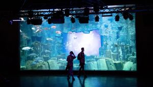 illustration agrandir l