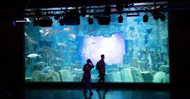 illustration agrandir l