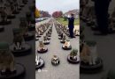😹 Armée de Chats sur Roombas : Le Général Salue la Brigade !