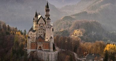 Pays de la Loire, Nantes, Angers, Loire river, castle, vineyard, coast, landscape