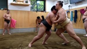 Au Japon, le sumo ukrainien Aonishiki, 21 ans, a conquis les fans