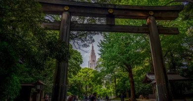 Au fondement de la religiosité japonaise : la « voie des esprits »