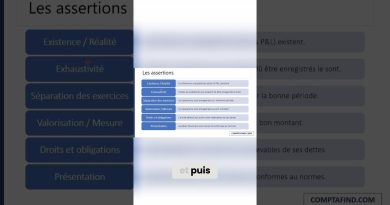 Audit des immobilisations : Cours des Big 4 en audit financier