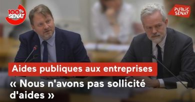 Audition de Google France au Sénat sur les aides publiques