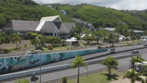 Avec leurs compétences élargies, que peuvent faire les maires de Polynésie française ?