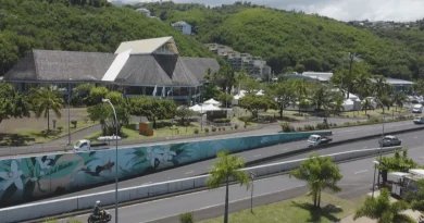 Avec leurs compétences élargies, que peuvent faire les maires de Polynésie française ?