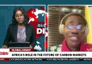 Avenir des marchés carbone : le rôle clé de l'Afrique