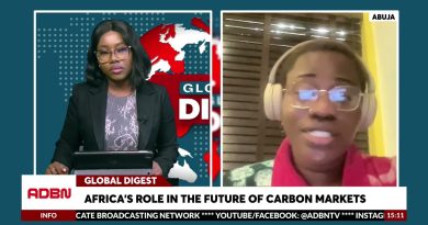 Avenir des marchés carbone : le rôle clé de l'Afrique