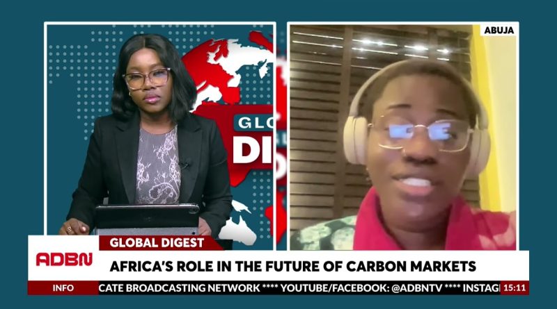 Avenir des marchés carbone : le rôle clé de l'Afrique