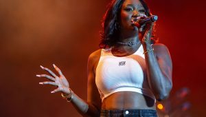 illustration agrandir l