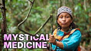 Ayahuasca : Guérisons Mystérieuses et Médecine des Plantes
