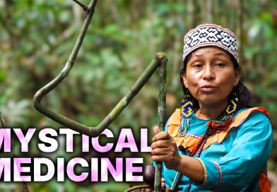 Ayahuasca : Guérisons Mystérieuses et Médecine des Plantes