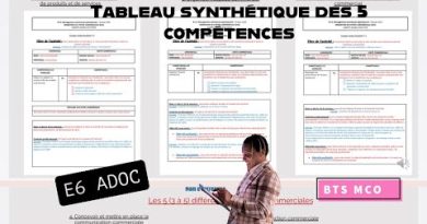 BTS MCO : Simplification du Tableau de Compétences E6 ADOC