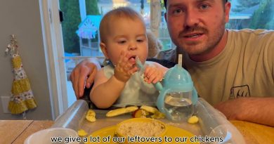 Baby Archie découvre la bouillie, les prunes et les bananes !