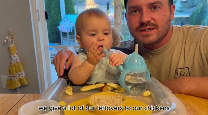 Baby Archie découvre la bouillie, les prunes et les bananes !