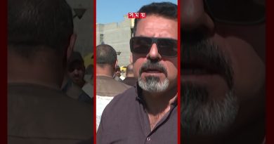 Bagdad : 4 arbres plantés pour chaque voiture