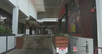 Baisse des ventes à Noël : les commerçants de Papeete impactés par la concurrence en ligne et un pouvoir d'achat réduit