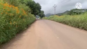 Balade Post-Mousson : Ranje à Kondhanpur