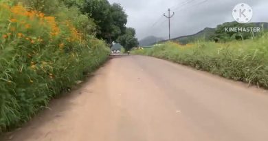 Balade Post-Mousson : Ranje à Kondhanpur