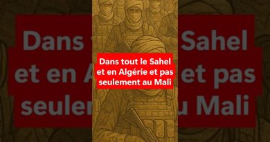 Bamako sous tension : le JNIM manque de puissance