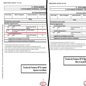 Bastia: quand un engagement à 21,5 M€ joue à cache-cache