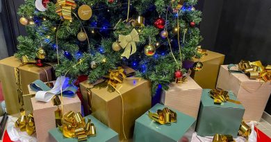 Biarritz : elle se fait dérober ses cadeaux sous le sapin, la veille du réveillon de Noël