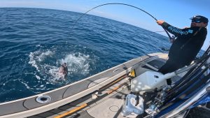 Big Tuna Dreams S5E4 : Les pêcheurs de bar à la pêche au thon