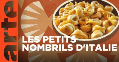 Bologne : À la découverte des tortellini | ARTE Family