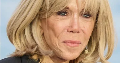 Brigitte Macron regrette la diffusion d'un échange privé sur 'Sales connes' - J'ai piscine avec Simone