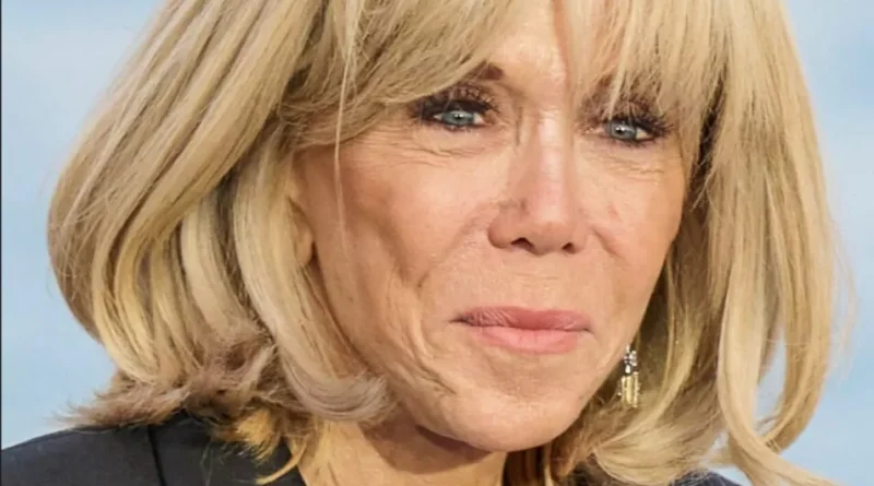 Brigitte Macron regrette la diffusion d'un échange privé sur 'Sales connes' - J'ai piscine avec Simone
