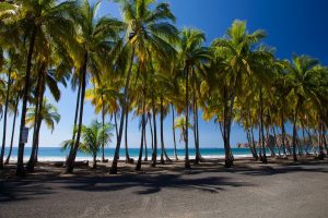 Martinique, Fort-de-France, beach, volcano, palm, rainforest, Creole, boat, island